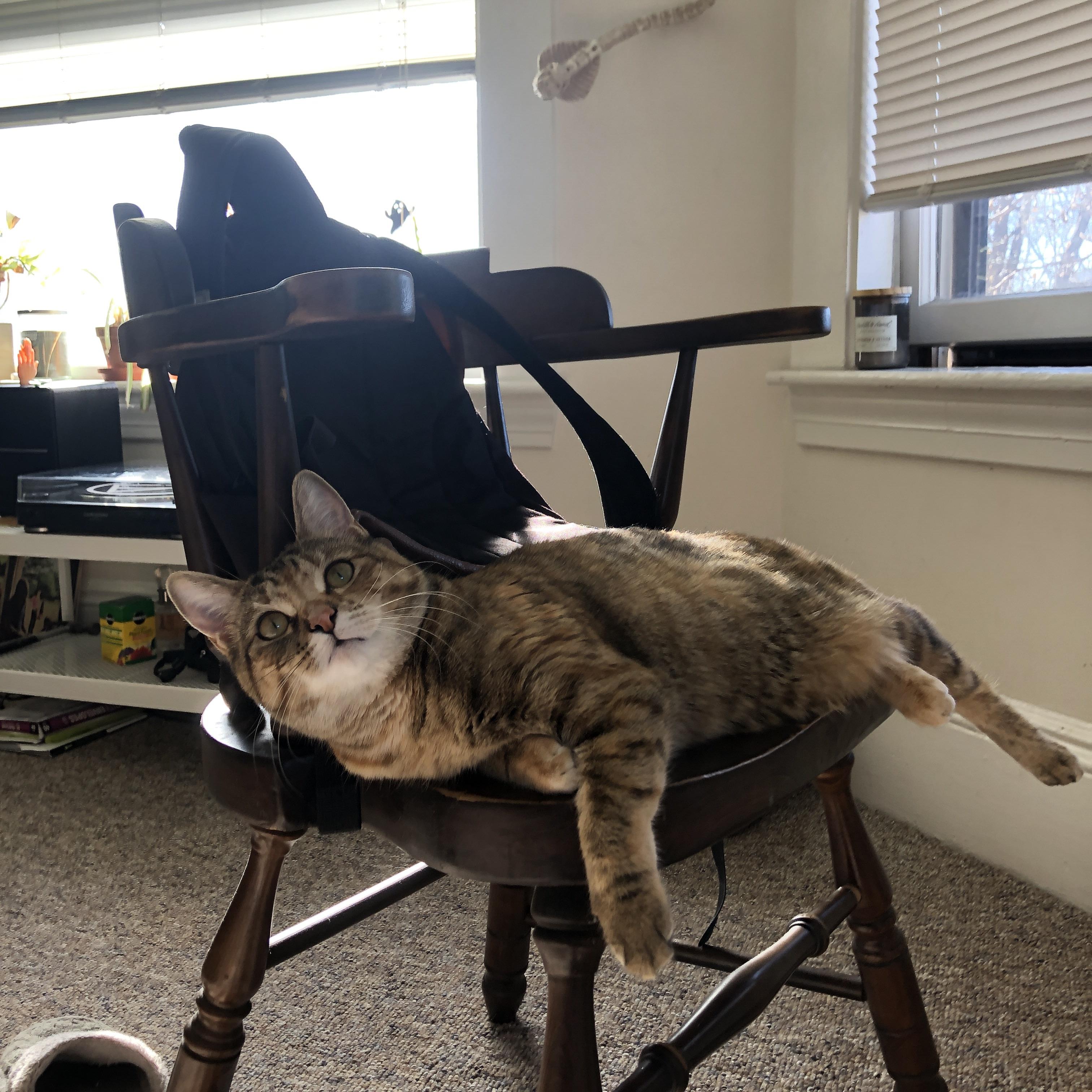 【悬念终揭晓】决赛中绝杀一击定乾坤，绝杀一红成绩