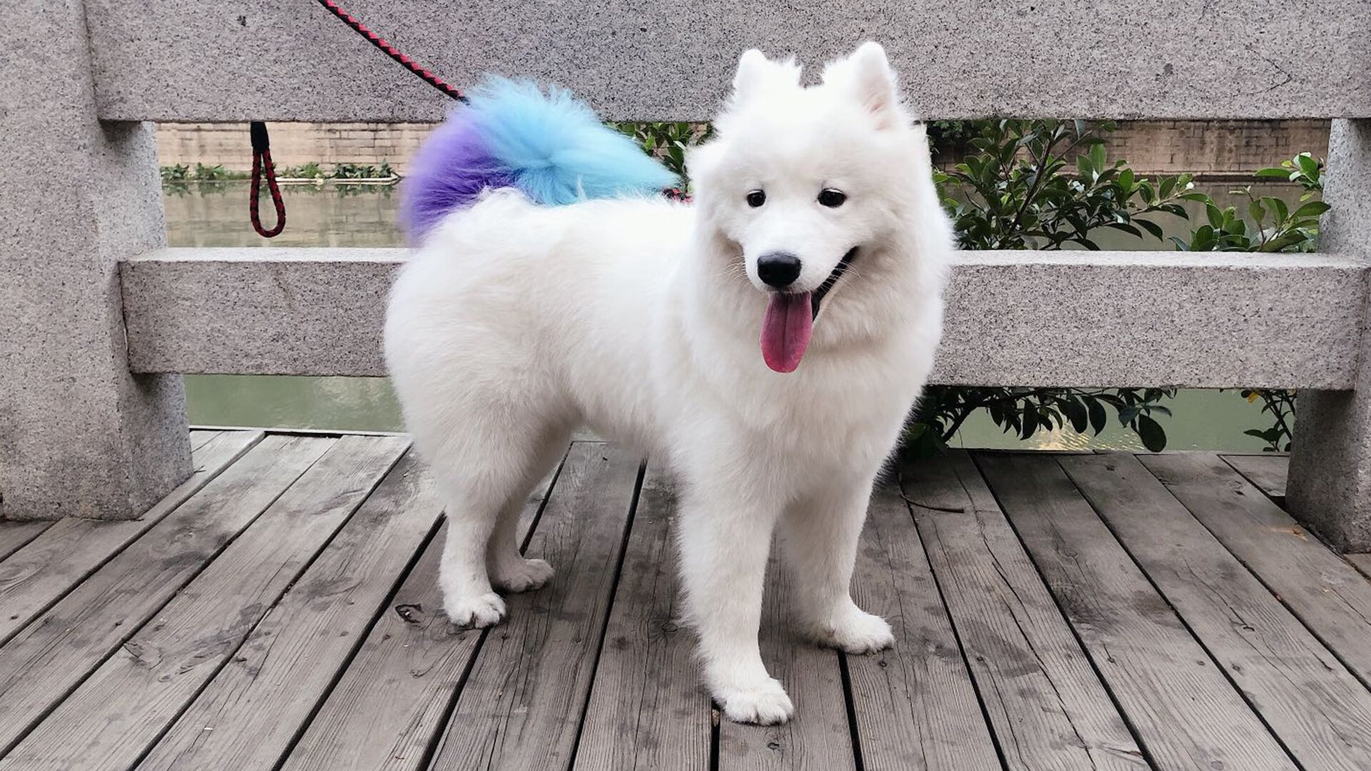 世界女子足球联赛季后赛:中国俱乐部强势出击,女子世界足球锦标赛