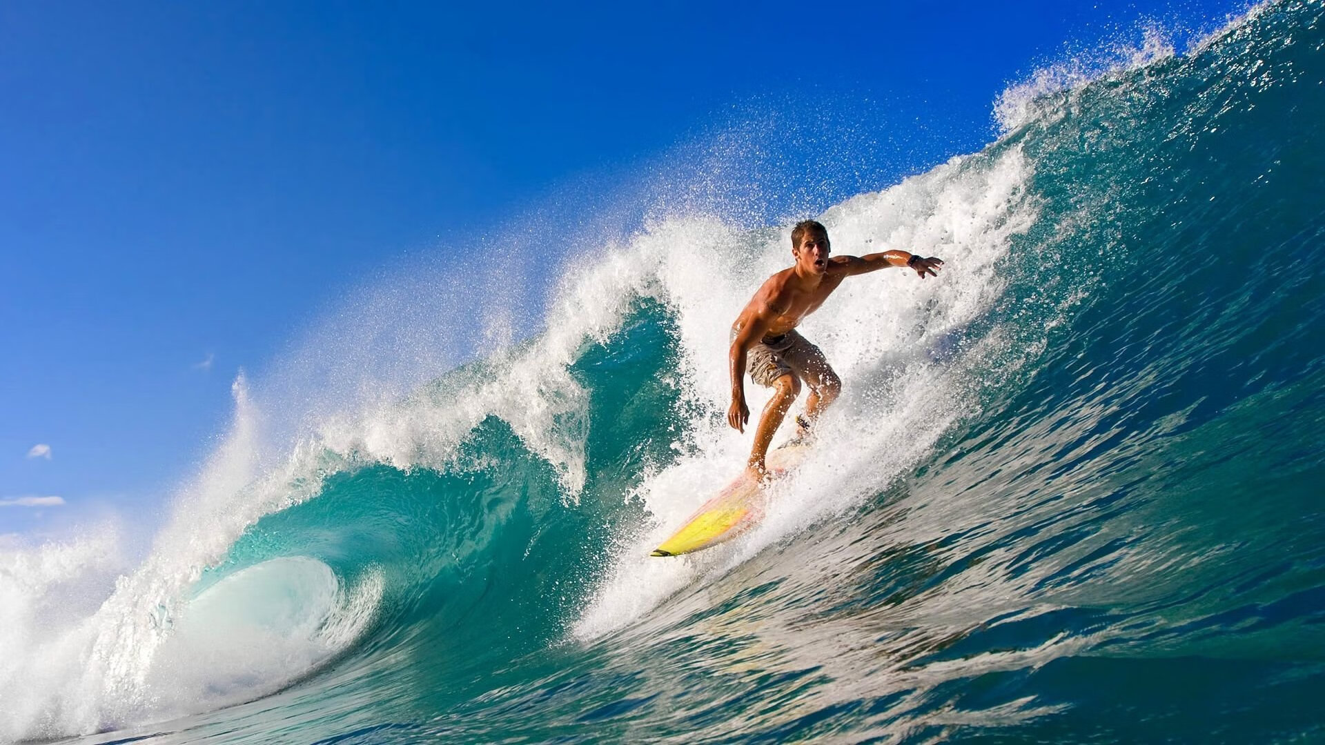 Kaiyun APP-未来足球：智慧场馆实现全场自动能耗调节，绿色节能新标杆，智能化足球场